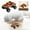 A, variant on compatible with Motorists Cars And Trucks Hobbies for Teen Boys Car Cars Big Cars for Boys Bulk Cars Car Remote Control Car Boys Pro Racing Remote Control Car Cars Trucks 2.4G Mini RC Drift Car Alloy