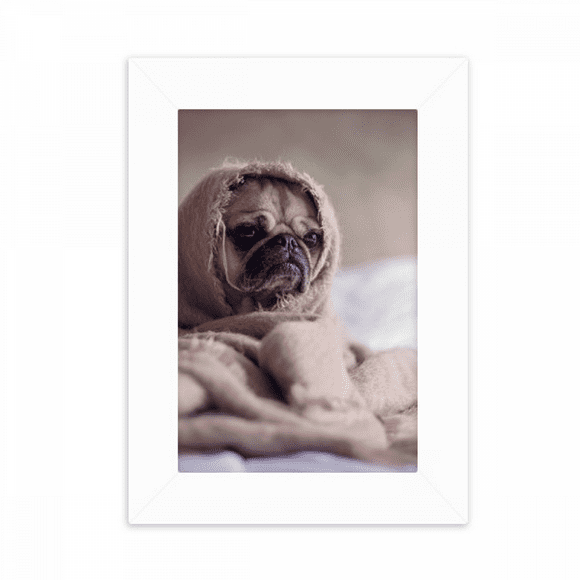 bulldog pet animal lly picture desktop photo frame picture display decoration art painting