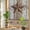 brown, variant on Rainbow Window Privacy Film, Vintage Texas Star Wooden Static Cling Window Film PVC, Farmhouse Berry Country No Glue UV Blocking Glass Covering, Removable Stained Glass Sticker 29.5''x118''