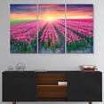 thumbnail image 3 of Designart 'Blooming Tulips at Sunrise ' Multipanel Photography Metal Wall Art, 3 of 5