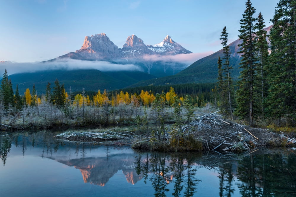 Lake with mountains in background Beaverlodge Three Sisters Canmore ...