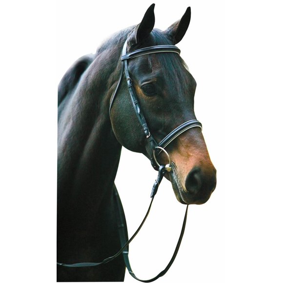 Henri de Rivel Bride de Dressage Warmblood Noir/blanc