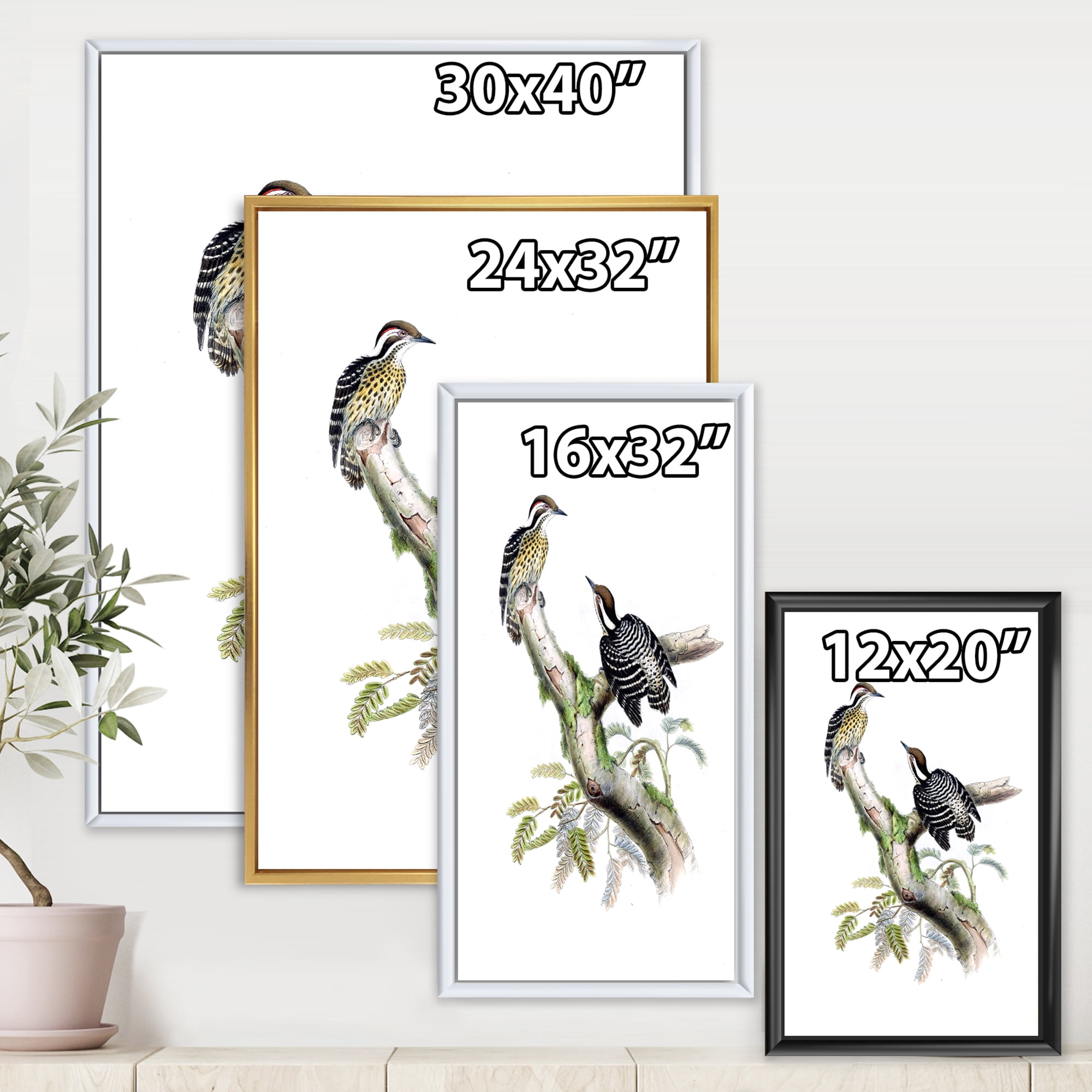 Designart 'Ancient Birds In The Wild VIII' Traditional Framed Canvas Wall Art Print