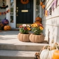 thumbnail image 3 of 3.94" Halloween & Thanksgiving Orange Pumpkin Planter, Plant Pot for Indoor & Outdoor Home Garden, Fun & Warm Vibe to Party & Doorway Display, Perfect Halloween Decoration & Harvest Fall Decor Gift, 3 of 6
