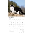 thumbnail image 3 of Tuxedo Cats | 2026 12x24" (Hanging) Wall Calendar | Plastic-Free | BrownTrout, 3 of 9
