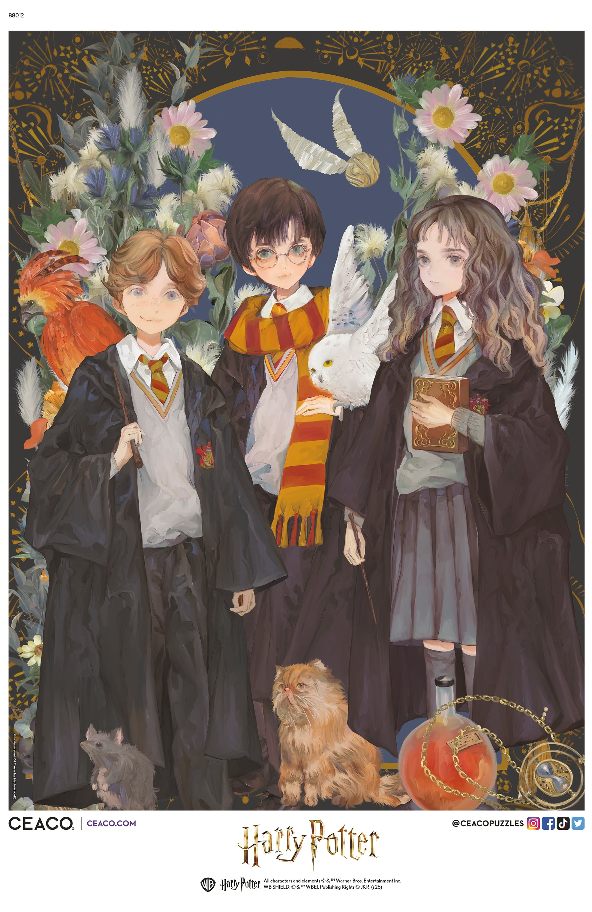 Ceaco Harry Potter Harry, Ron, Hermione 1000-Piece Interlocking Jigsaw Puzzle for Children Ages 14+