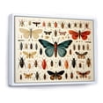 thumbnail image 3 of Designart "Insects and Bugs in Orange and Blue" Oversized Animals Framed Wall Art - Modern Blue Insects & Bugs Bedroom Framed Canvas Wall Art, 3 of 7