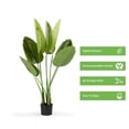 thumbnail image 5 of 48 inches Artificial Bird of Paradise Tree in Black Nursery Pot, 5 of 5