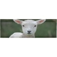 thumbnail image 6 of Coolnut Cute Lamb Windows Valance Curtains, Double Layer Short Blackout Window Topper Treatment for Bathroom,Kitchen,Living Room,Cafe Decor,54x18Inch,only 1 Panel, 6 of 6