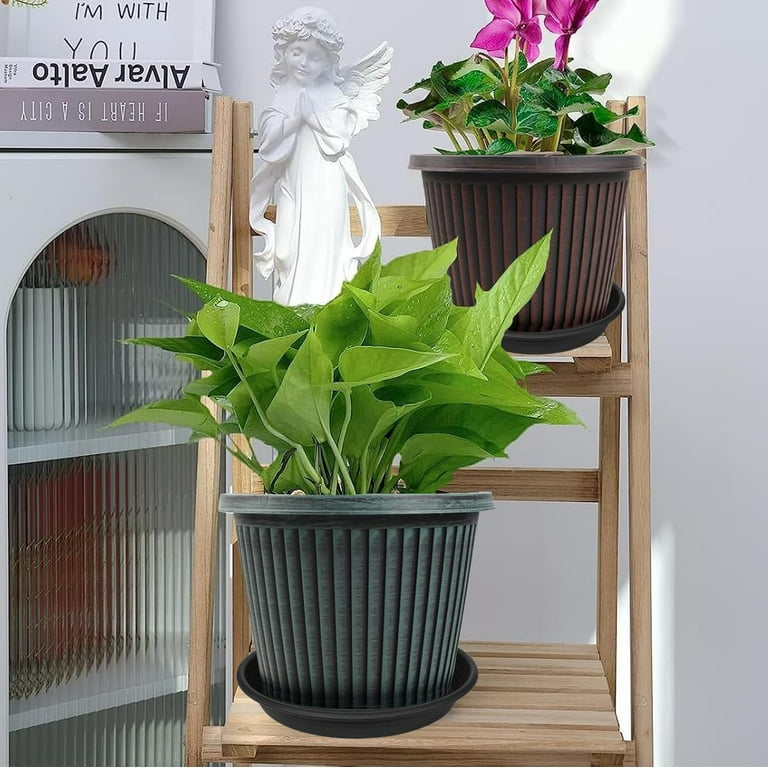 plant climber trellis Zella Wooden Plant Trellis