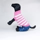 thumbnail image 2 of Xihbxyly Suéter de Invierno para Mascotas, Chaleco Cálido de Poliéster, Elegante Diseño Azul, Suave y Acogedor, Ropa Unisex para Perros, Ideal para Climas Fríos, Varios Tamaños Disponibles, Ajuste Có, 2 of 3