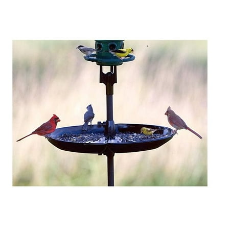 Brome Bird Care Seed Buster Seed Tray and Catcher (1020) Eliminates Ground (Best No Mess Bird Seed)