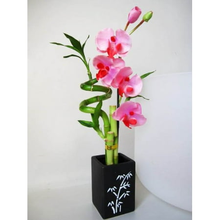 Style Ceramic Vase - 9GreenBox - Lucky Bamboo - Spiral Style with Artificial Flowers and Ceramic Vase