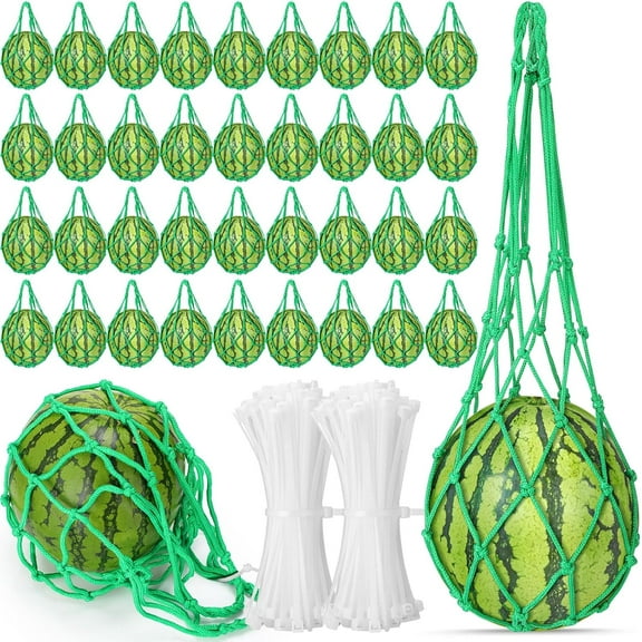 36 Pcs Watermelon Net Melon Hammock Melon Cradle Plant and Garden Supports Pumpkin Support Hanging Bag Protects Watermelons, Honeydew, Squash, Cantaloupes (Green) Green