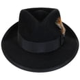 thumbnail image 2 of Whippet - Stetson Felt Fedora Hat - TFWIPTB, 2 of 4