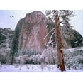 thumbnail image 2 of Fitzharris, Tim 18x15 Black Ornate Wood Framed with Double Matting Museum Art Print Titled - El Capitan in winter-Yosemite National Park-California, 2 of 4