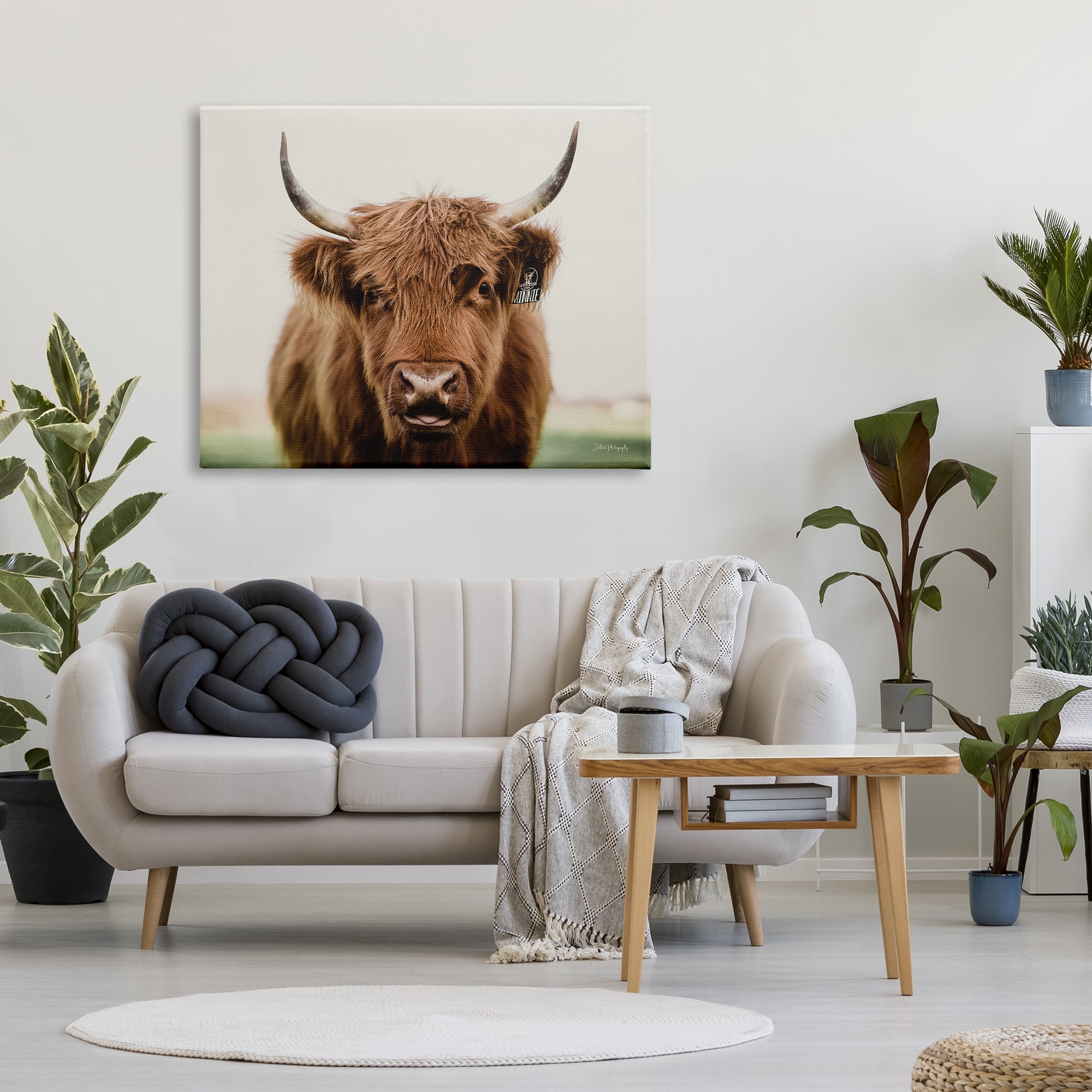 Stupell Industries Farmhouse Cattle Photography Animals & Insects Photography Gallery Wrapped Canvas Print Wall Art, 48 x 36
