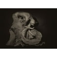thumbnail image 2 of Photography Expressive 14x11 Gold Ornate Wood Framed with Double Matting Museum Art Print Titled - Inchino, 2 of 4