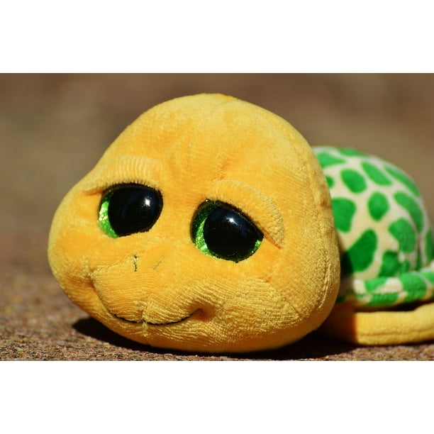 Cute Stuffed Animal Toys Soft Toy Turtle-20 Inch By 30 Inch Laminated Poster With Bright Colors