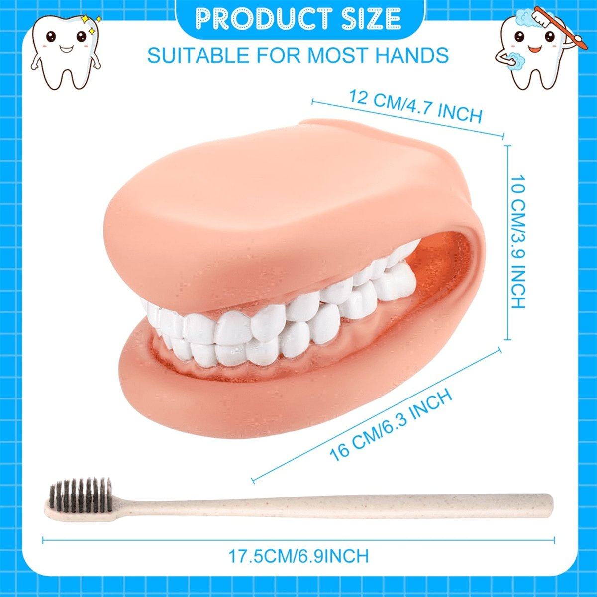 1Pcs Marionnette avec Langue Dents Marionnette à Main Modèle Dentaire avec Brosse à Dents pour Garçon Fille Outil Éducatif