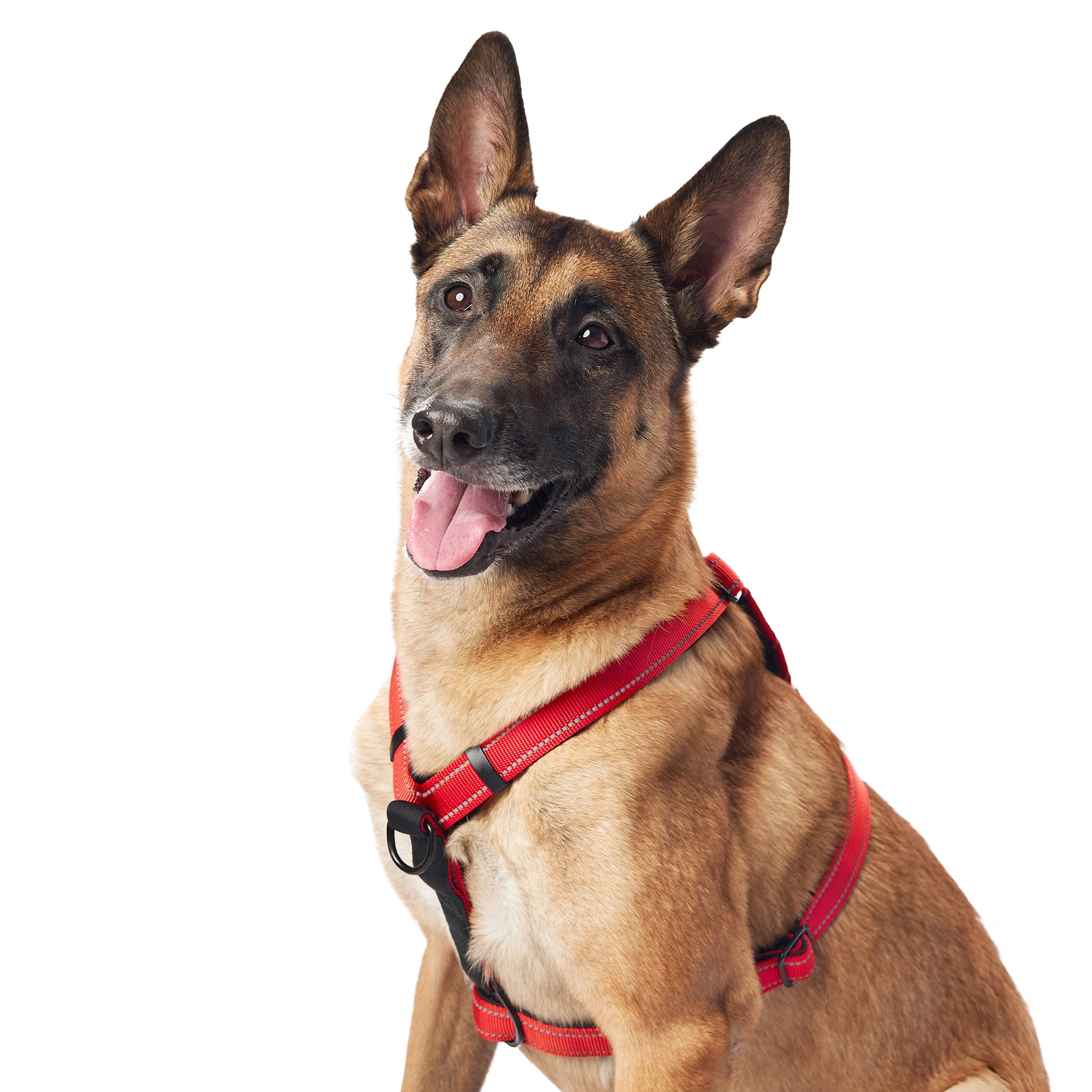 Sporn Nylon Non-Pulling Dog Harness, Red, M/L (22" to 30" Chest Size)