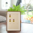 thumbnail image 6 of HOMEMAXS Badges Medal Display Frame Medal Photo Frame Child 44.00X31.50X3.00CM Coffee, 6 of 8