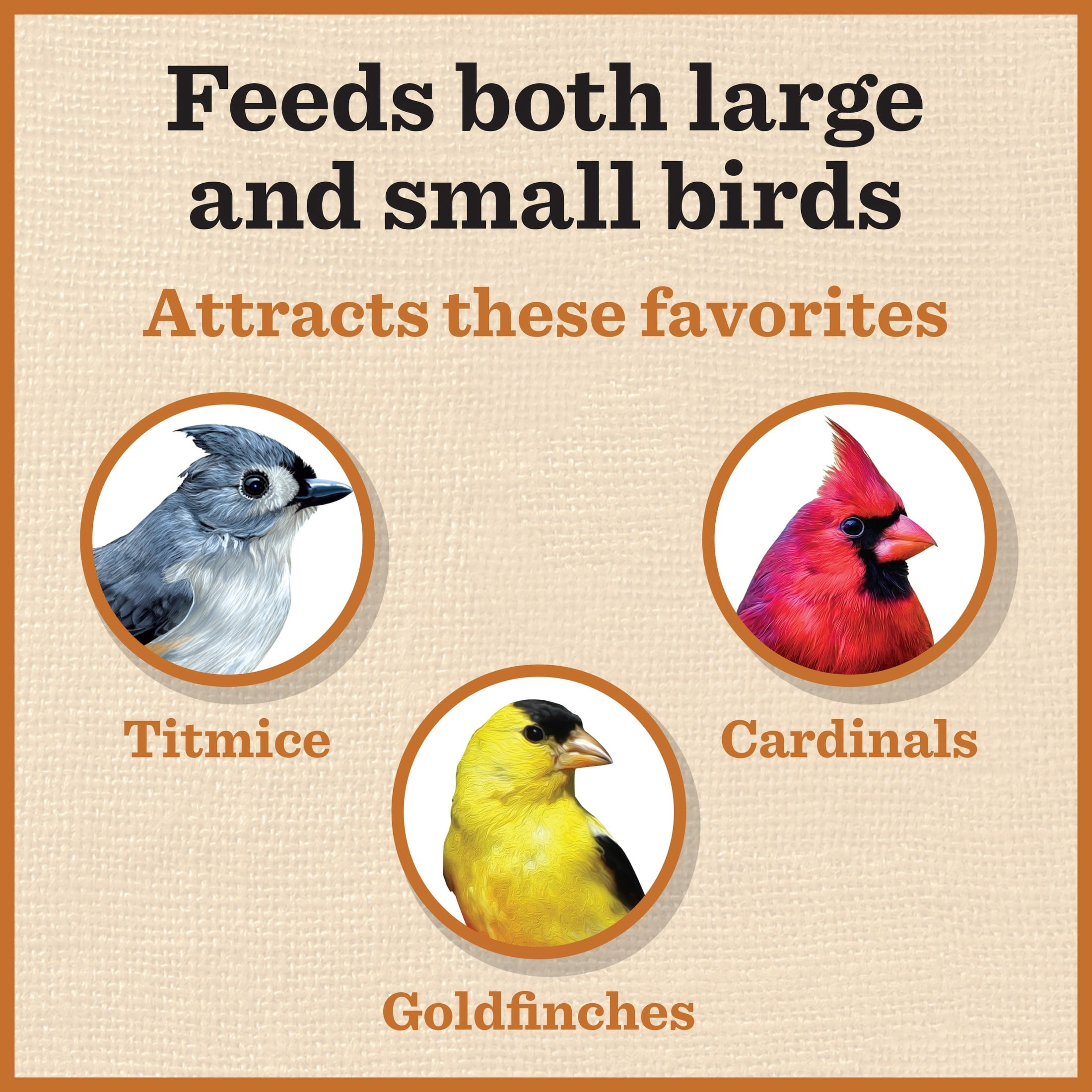 Dr. Pol Cedar Gazebo Wild Bird Feeder 3 Pounds
