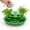 green#1585, variant on Indoor Hydroponic Planter for Scallions and Green Onions, Windowsill Regrow Container for Kitchen Countertops, Easy Self-Watering Vegetable Herb Growing System