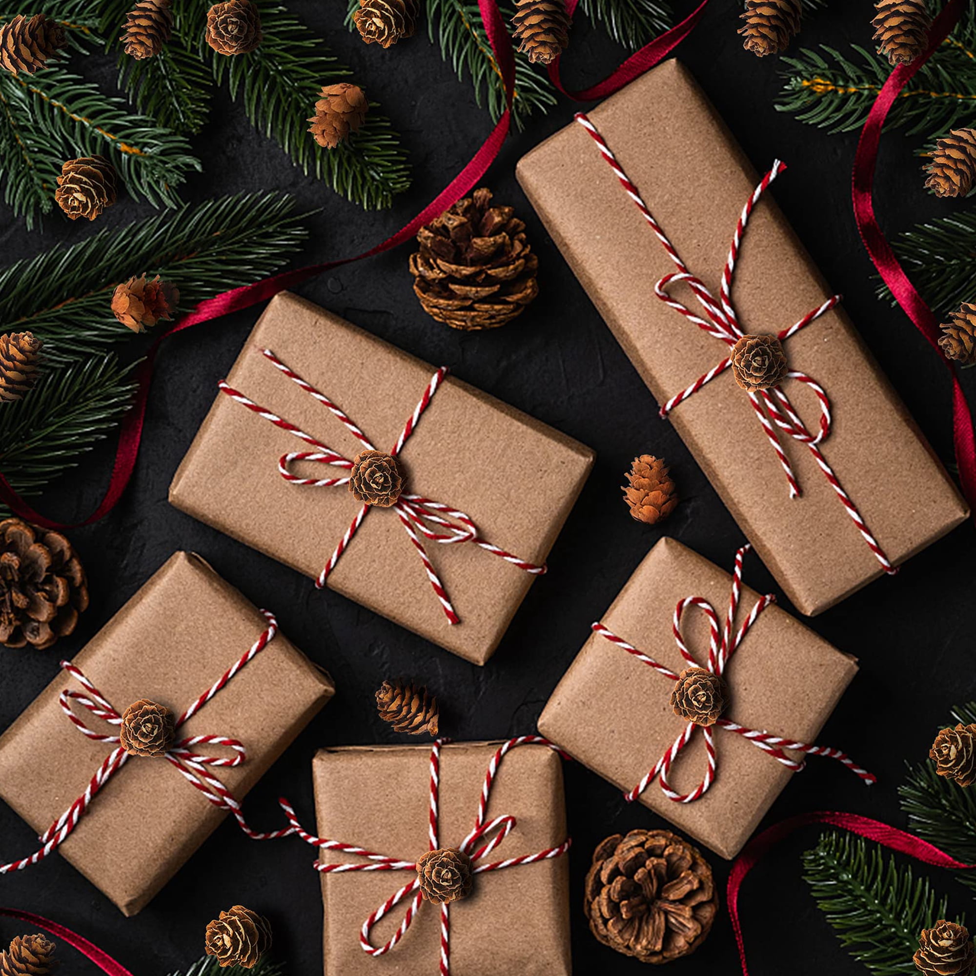 Ebaokuup 800 Pcs Mini Natural Pine Cones for Christmas Fall Wedding Crafts