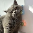 thumbnail image 3 of 3 juguetes de hierba gatera para limpiar los dientes de tu gato., 3 of 6