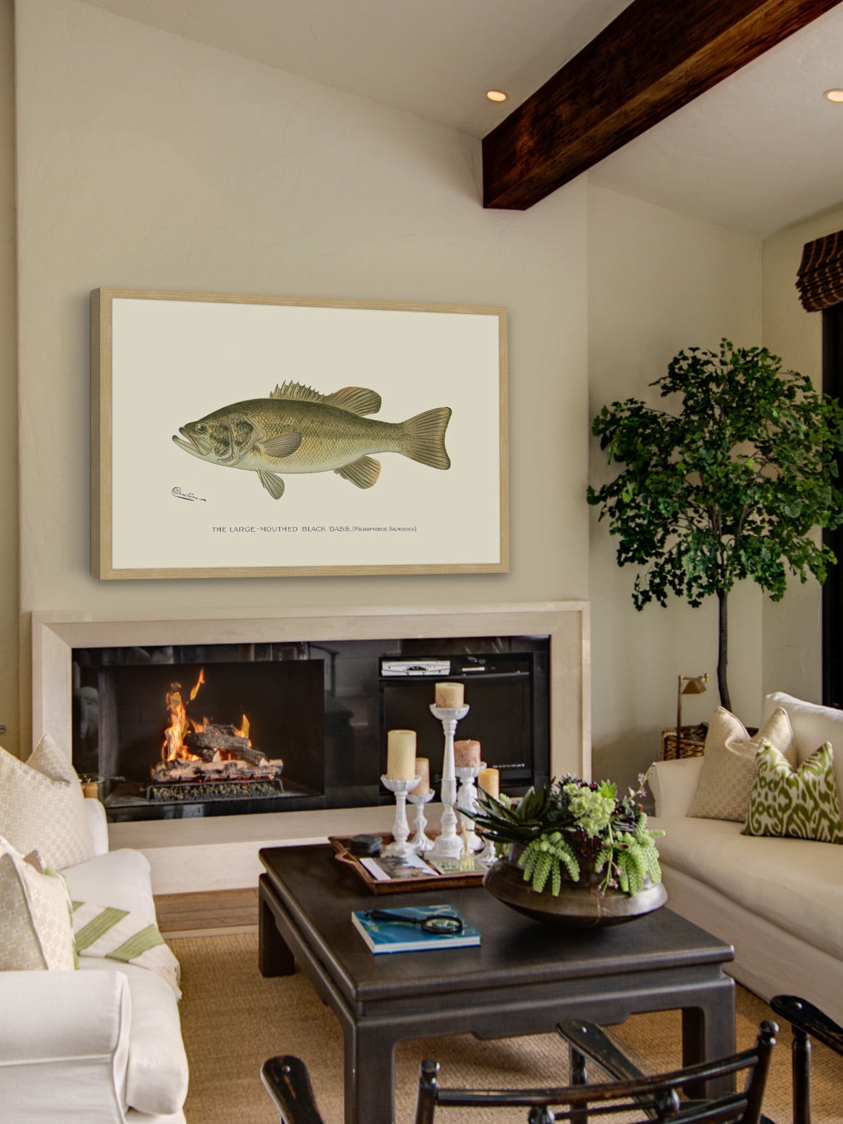 "Large Black Bass" Framed Painting Print