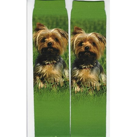 Yorkshire Terrier Sublimated Socks - One Size (Best Socks Brand In The World)