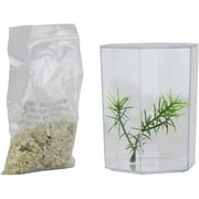 Lees Betta Keeper Hex Aquarium Kit
