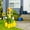 multicolor_Hot#10106, variant on Sunflower Goose Outfit for Cement or Plastic Goose Statues, Waterproof Garden Costume for Porch Holiday Decoration, Fits 24 Inch Outdoor Yard Goose, Easter & Christmas