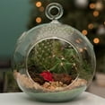 thumbnail image 4 of Miangastore 4PCS Transparent Hanging Glass Vase Ball Shape Flower Plants Terrarium Vase Flat Base Container Landscape DIY Wedding Home Decoration - 100mm, 4 of 8
