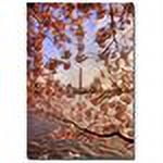 Trademark Fine Art "Cherry Blossoms at the Washington Monument" Canvas Art by Lois Bryan