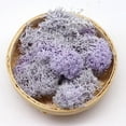 thumbnail image 2 of Piwvid Potted Garden Decoration Set with Natural Dry Moss and Artificial Plants for Wedding Party Crafts and Floral Backgrounds, 2 of 6