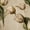 Color 4, variant on Peel and Stick Wallpaper Vintage Watercolor Tulip Blooming Stages Wall Mural 23.6in x 9.8ft Self Adhesive Removable Renter Friendly Wall Paper Decor for Walls Cabinets Home