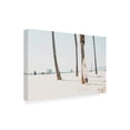thumbnail image 4 of Canvas Wall Art - Krista Broadway 'Carlo' Wall Art for Living Room, Bedroom, or Office Décor by Trademark Fine Art - 47 x 30 Inches, 4 of 4