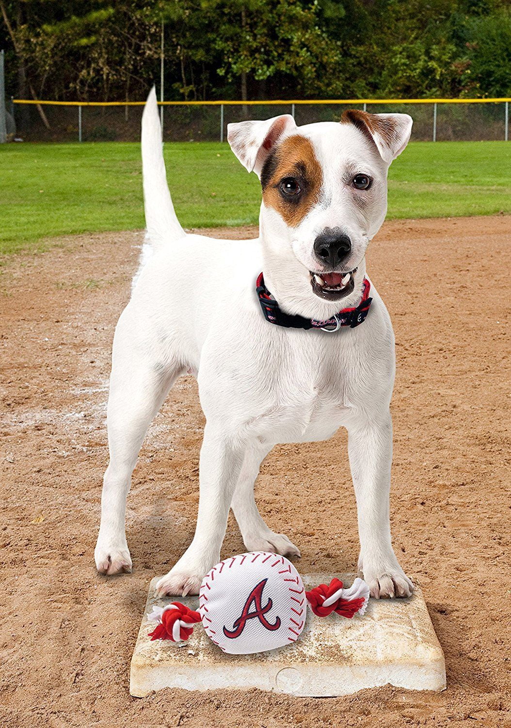 Pets First MLB Atlanta Braves Nylon Baseball Rope Tug Toy, MLB Licensed, Heavy Duty and Durable Toy