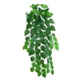 thumbnail image 3 of WLPZXP grass decor cottage bedroom decorative fairy scindapsus leaves 1, 3 of 9