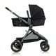 thumbnail image 2 of Evenflo Pivot Xpand Modular Stroller (Ayrshire Black), 2 of 5