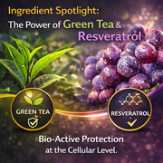 NAD+ Resveratrol Longevity Formula - 60 Capsules - Advanced Nicotinamide Adenine Dinucleotide with CoQ10, Green Tea, Apigenin & Turmeric - Cellular Energy & Vitality Support for Men & Women