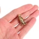thumbnail image 5 of FESTFENDS Estatua De Pingüino De Latón Dorado Para Y Con Detalles Realistas, 5 of 6