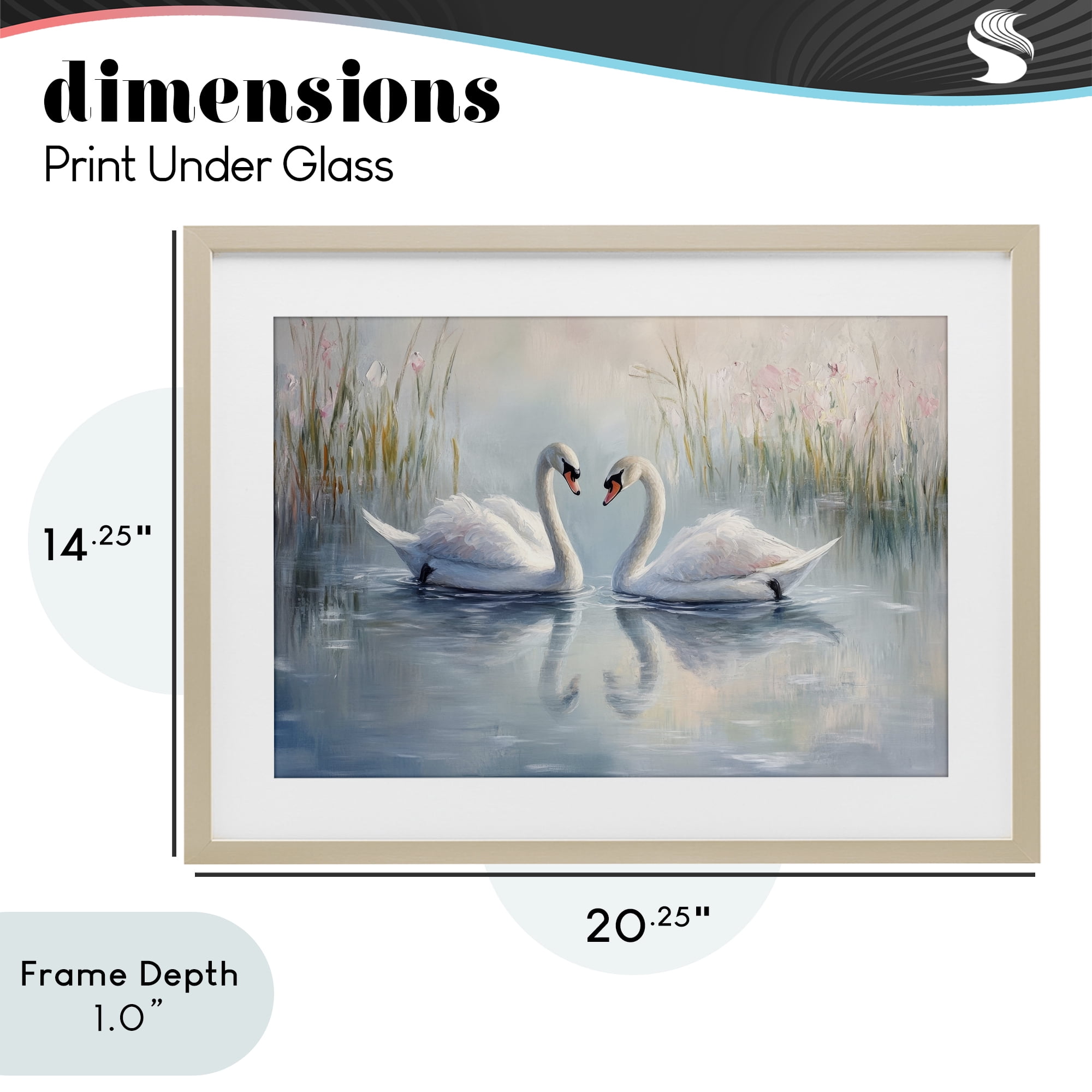Stupell Industries Simple Swan Reflections Birch Framed Print Under Glass, design by Petal Prints Design