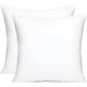 thumbnail image 1 of Insertos de almohada, insertos de almohada decorativa, inserto de forma de almohada para sofá interior, almohadas para sofá, cama (2, 12 x 20 pulgadas) Vhermosa CZJJ-ZC5-3, 1 of 7