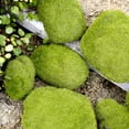 thumbnail image 5 of Realistic Artificial Moss Rocks, Terrarium Decorations Bring The Outdoors Inside, 5 of 5