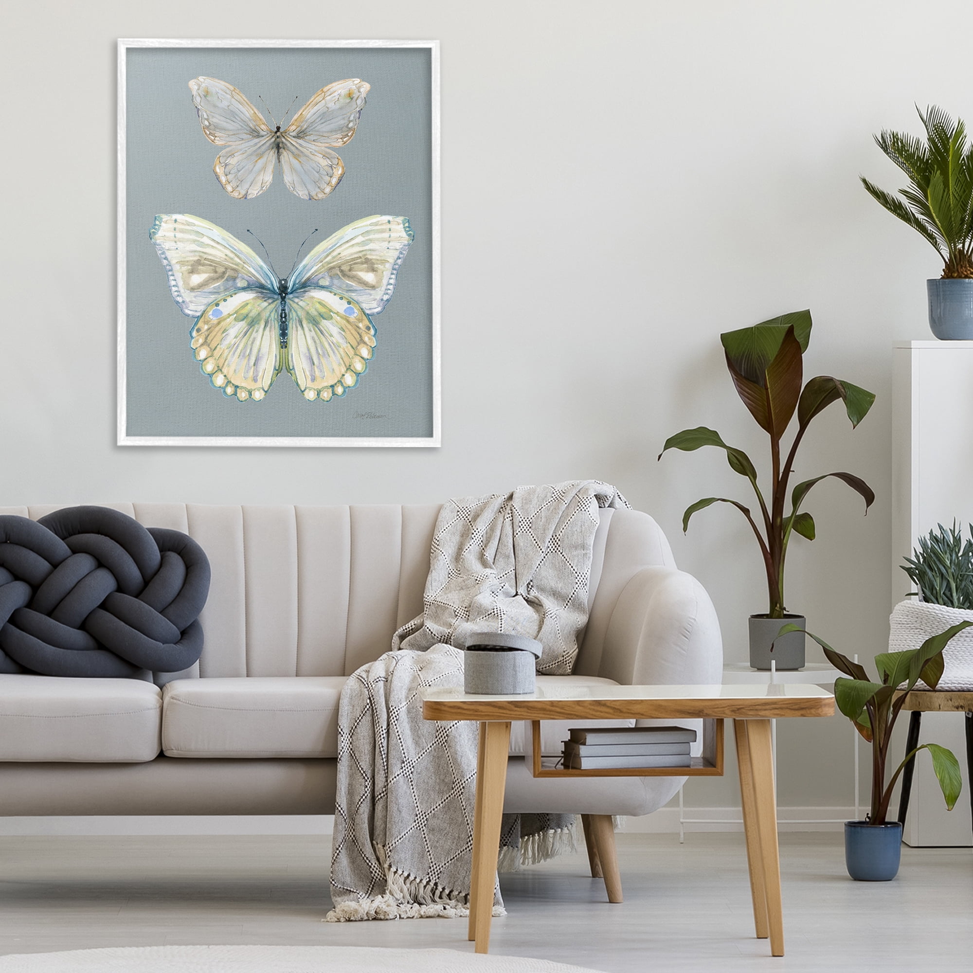 Stupell Industries Butterfly Pair Study White Framed Giclee Art, design by Carol Robinson