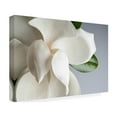 thumbnail image 3 of Trademark Fine Art PhotoINC Studio Magnolia White And Gray Canvas Wall Art - 30x47, 3 of 5