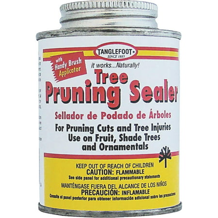 Tanglefoot Tree Pruning Sealer (Pruning Apricot Trees Best Time)